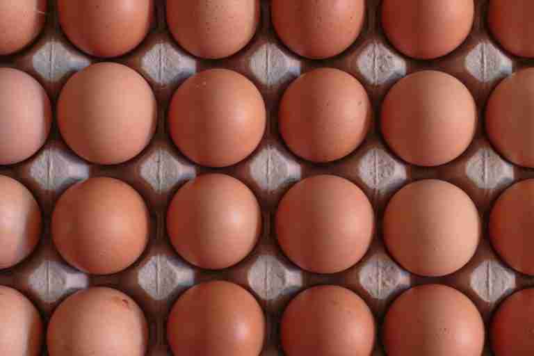a carton of many eggs